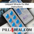 Léopard Miracle Du Miel Instructions new15